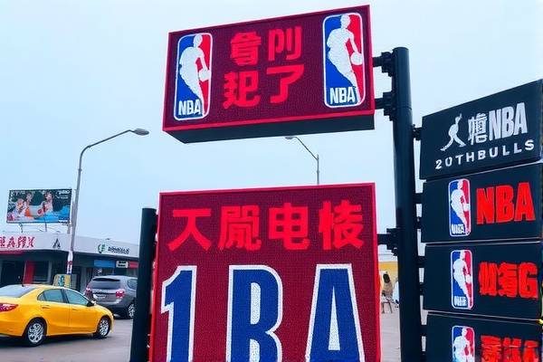 NBA总决赛第四场录像，激烈对决与关键时刻的回放