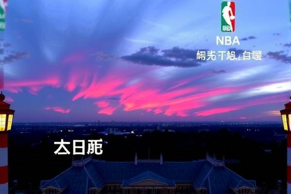 NBA黄蜂队精彩瞬间，录像回顾与解析