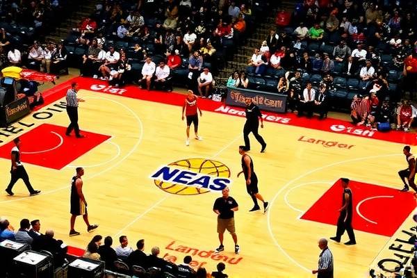 重温历史，NBA总决赛2010第七场录像的回眸