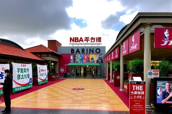 NBA骑士队比赛录像，热血与荣耀的见证