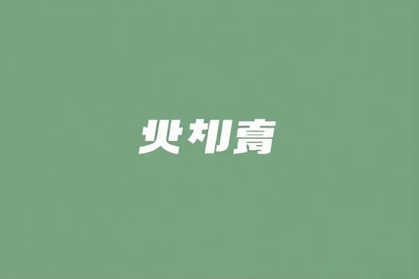 邓肯NBA录像，永恒的篮球传奇