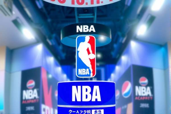NBA录像价格，市场分析与购买指南