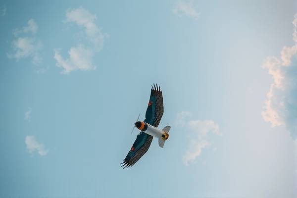 早期NBA录像，重温篮球黄金时代的珍贵记忆