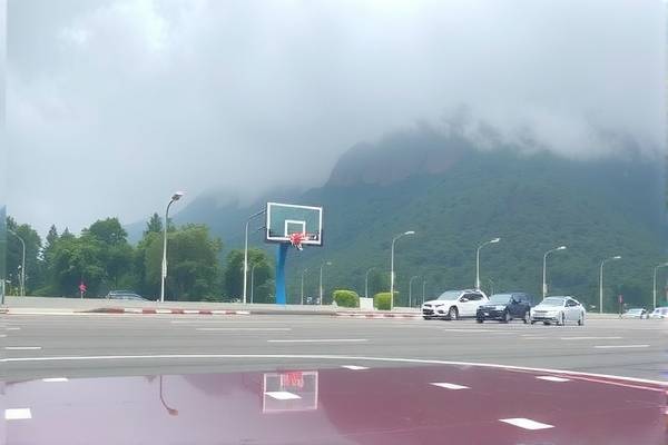 NBA赛事录像迅雷下载，便捷获取精彩比赛回放