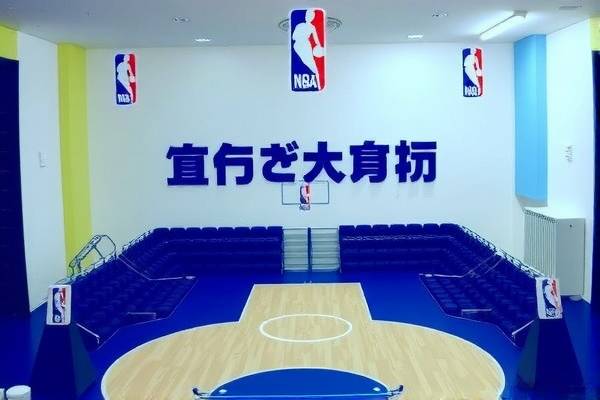 NBA赛场精彩瞬间，火箭与鹈鹕的录像回顾