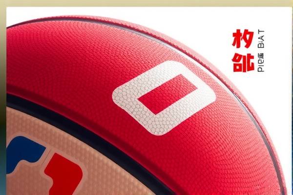 NBA回放录像2017，精彩瞬间的永恒记忆