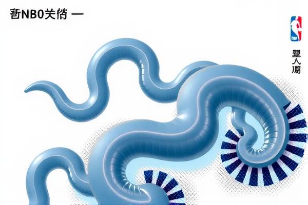 重温经典，探索2003年NBA录像的魅力