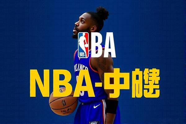 NBA录像库里队，历史与荣耀的回顾